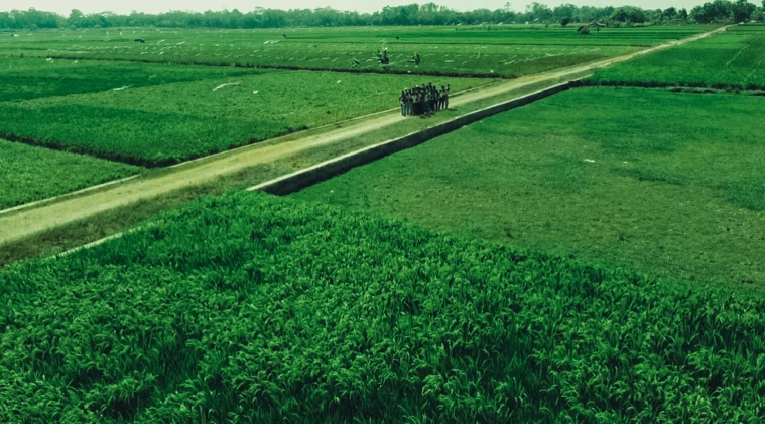 Desa